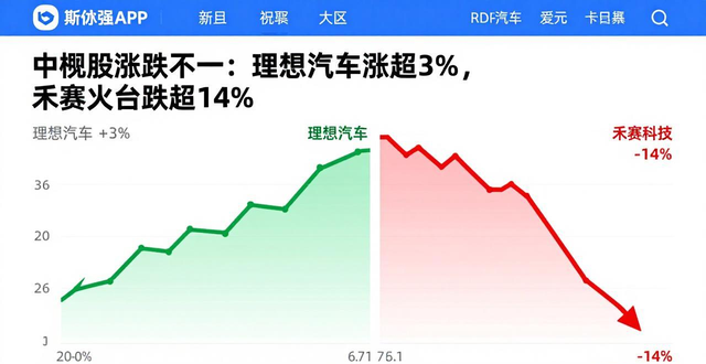 禾嘉科技股票_禾赛科技营业额_