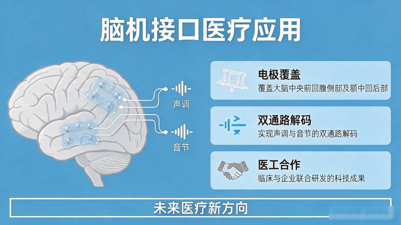 大脑交叉池_大脑交叉_