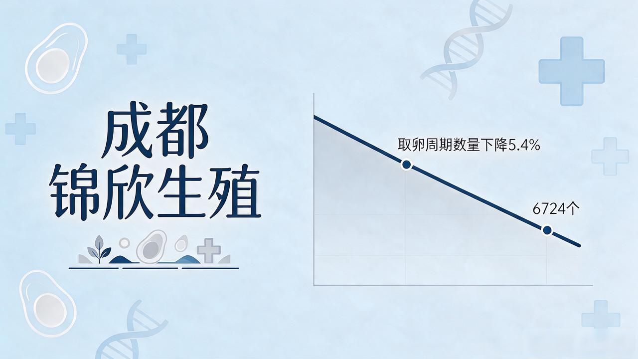_福建高速业绩预告_锦朝高速路况实时查询